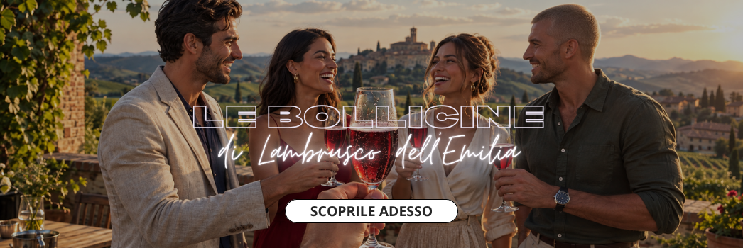 4 ragazzi bevono bollicine in terrazza