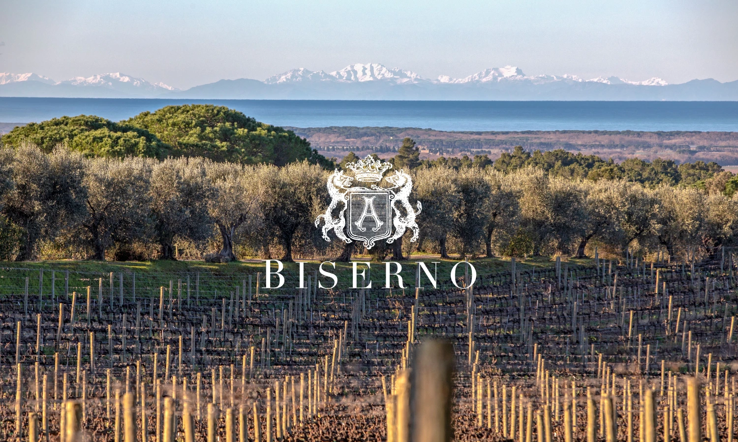 Azienda del mese tenuta biserno