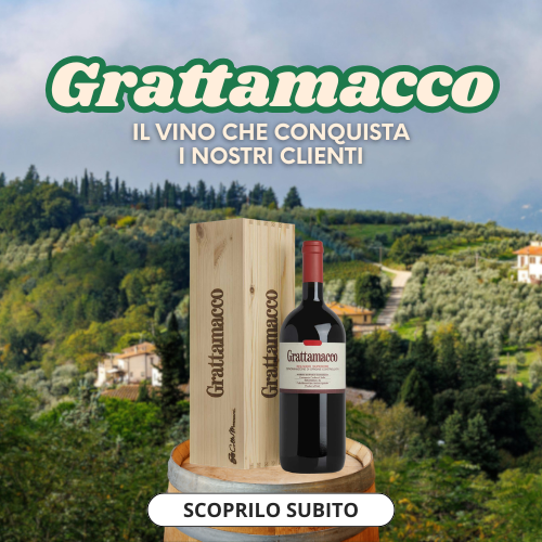 Banner-telefono-e-ipad-Rocchi