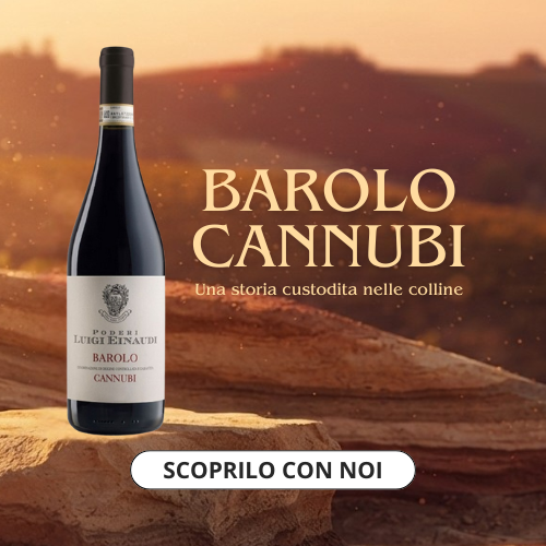 bottiglia di barolo cannubi poggiata su una roccia