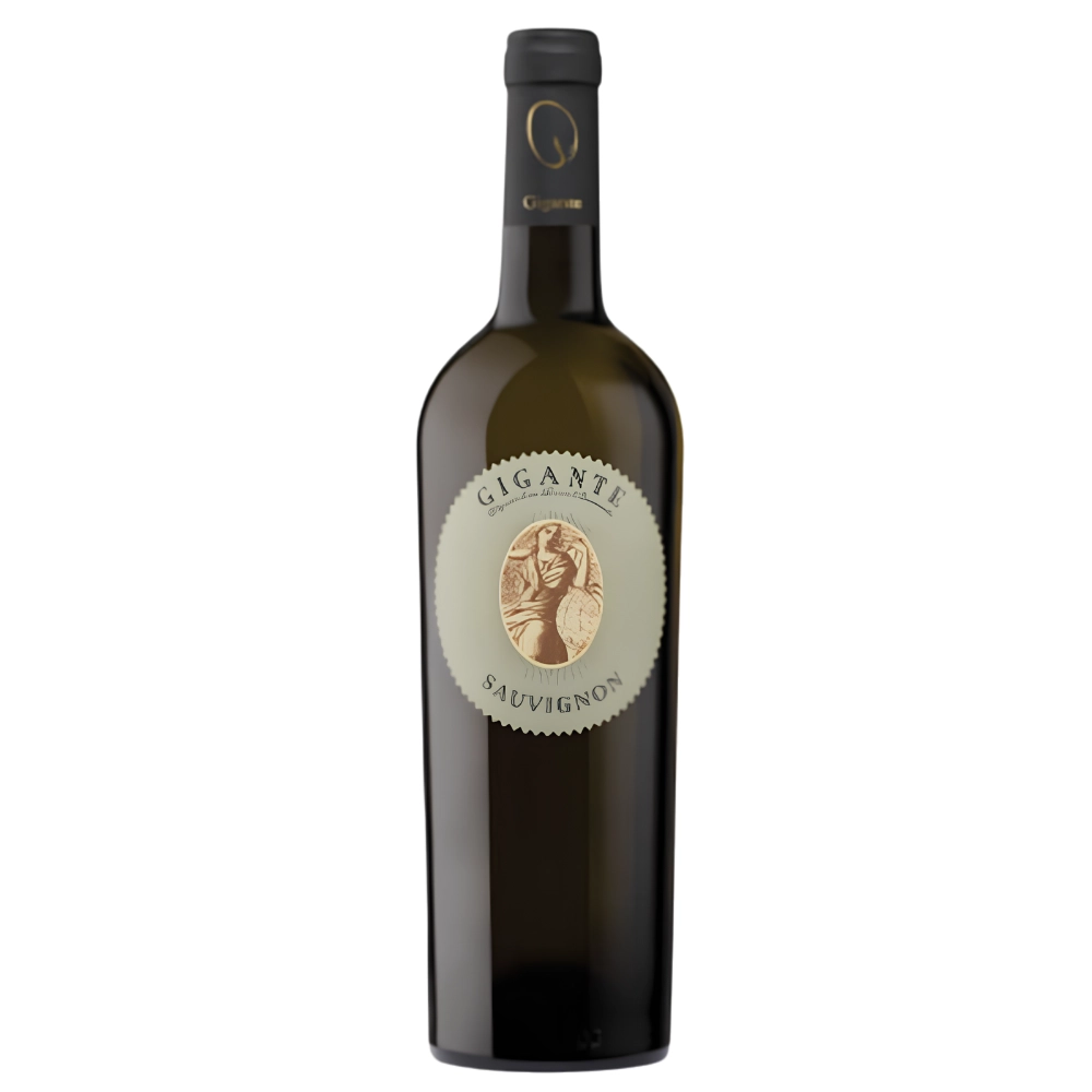 bottiglia d vino