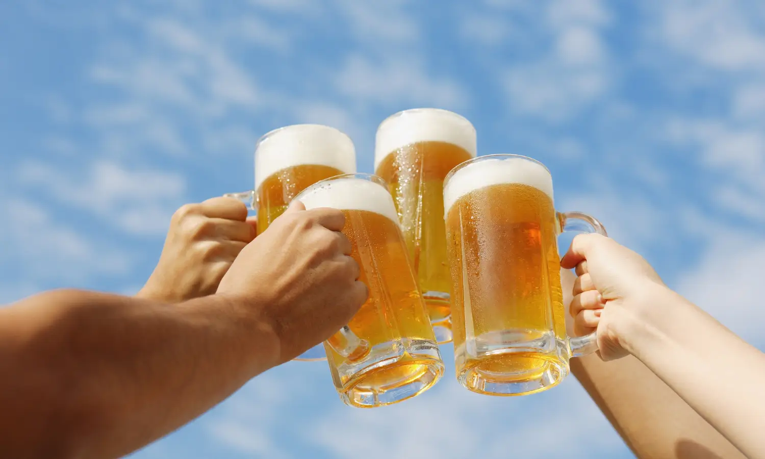 amici brindano con boccali di birra ghiacciata