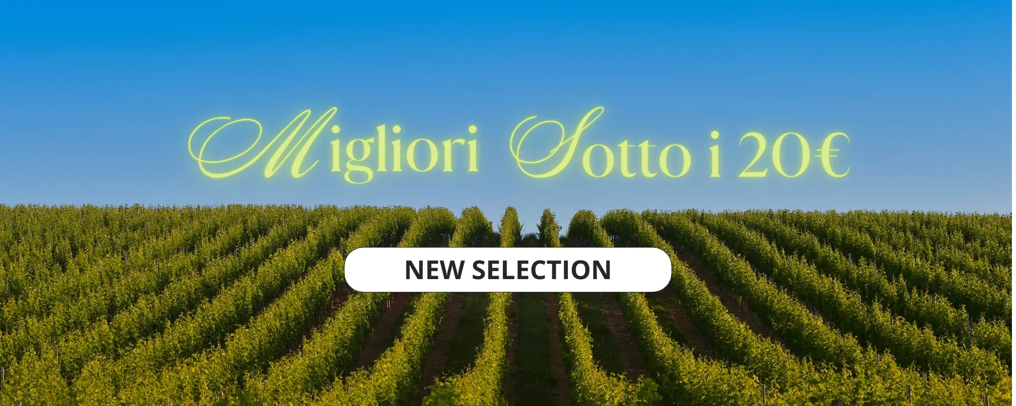 i migliori sotto i 20 setitmana san valentino