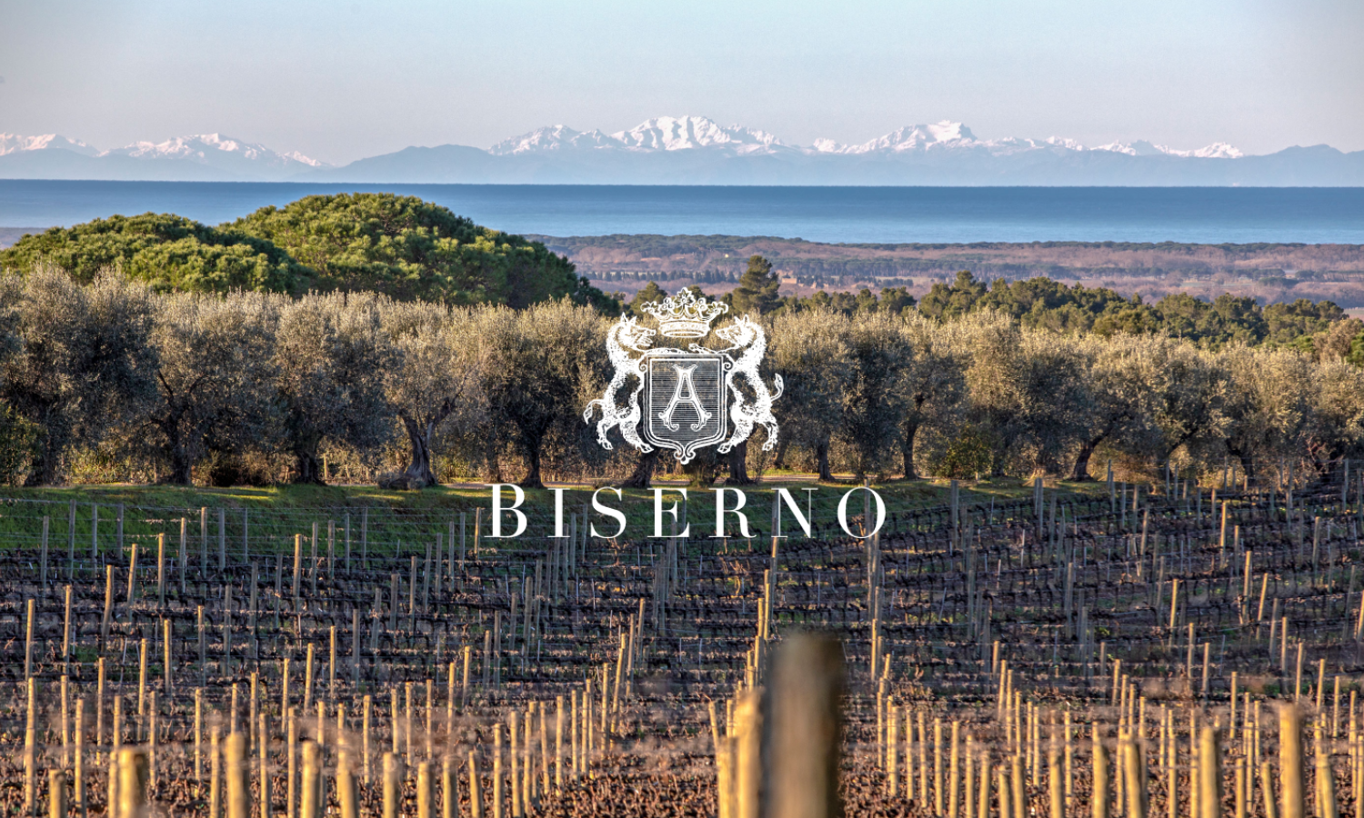 img-biserno-rocchi-_2_