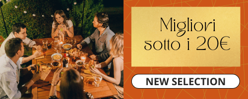 i migliori vini sotto i 20 euro