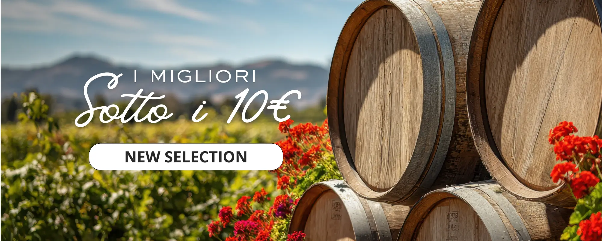 i vini migliori sotto i 10 euro