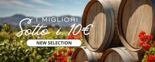 i vini migliori sotto i 10 euro