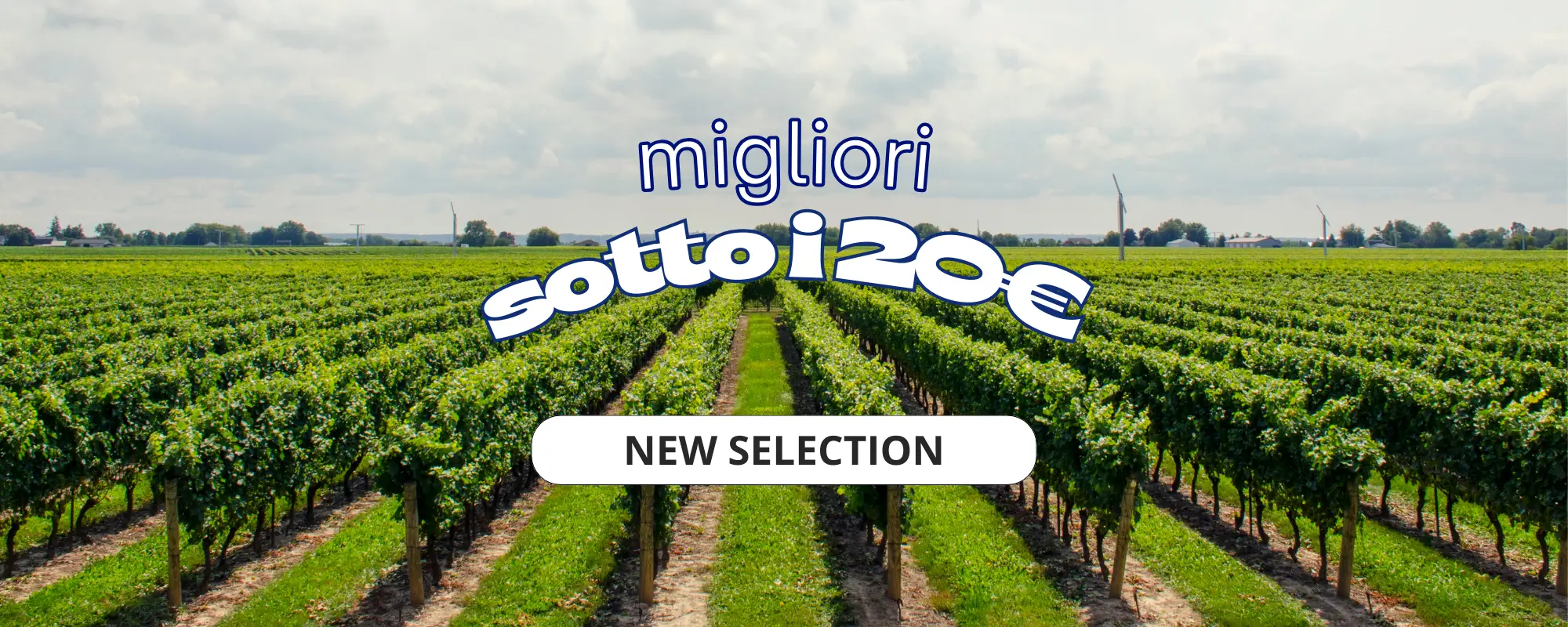 migliori sotto i 20 euro