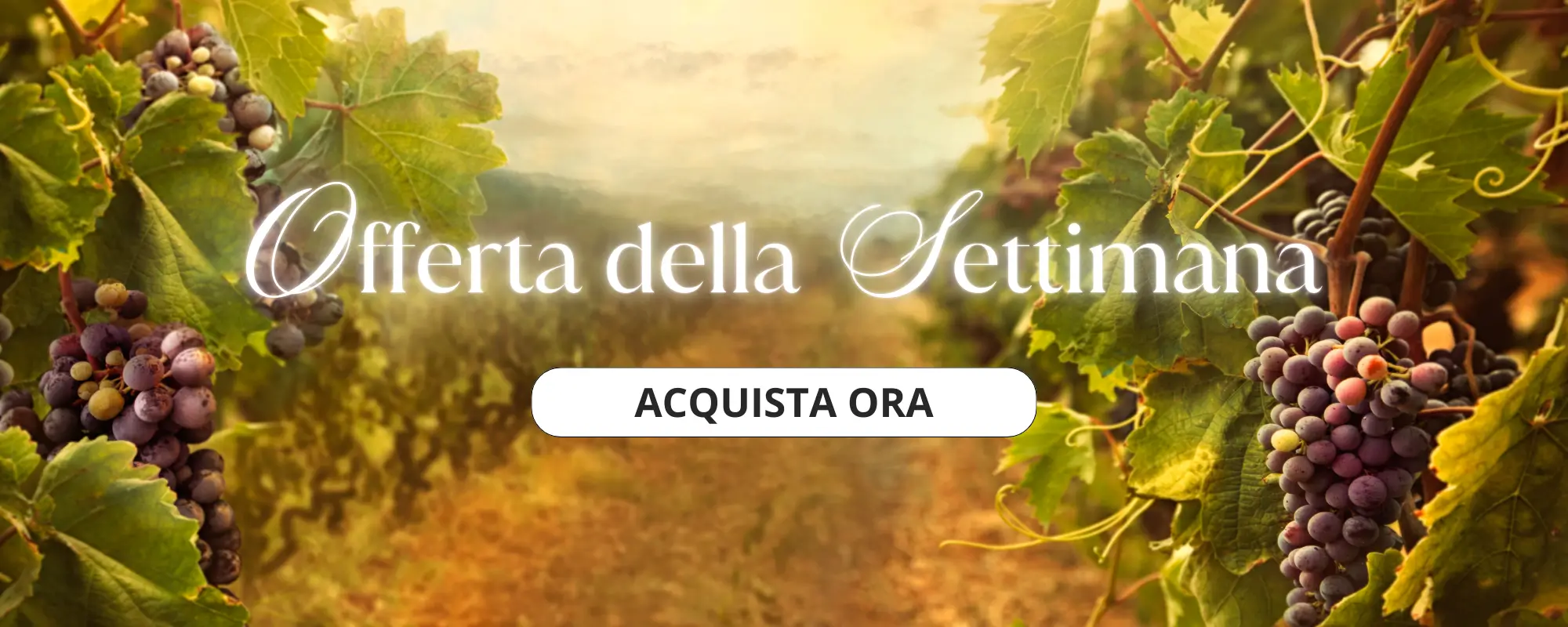 offerta della settimana