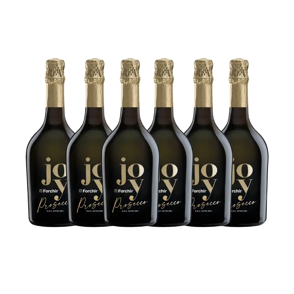 prosecco joy forchir - 6 bottiglie
