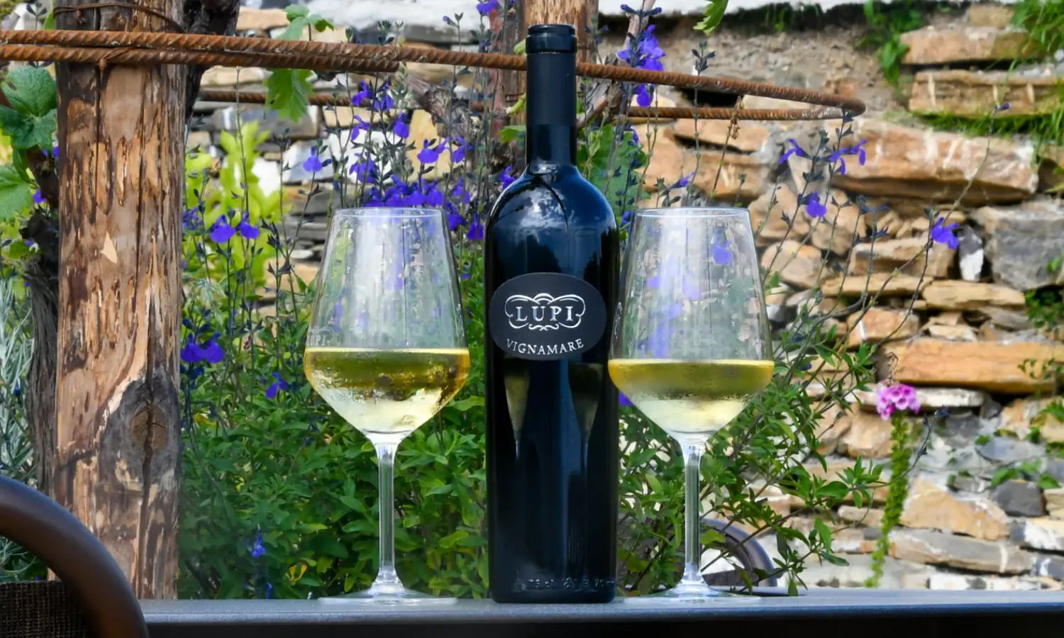 vini lupi